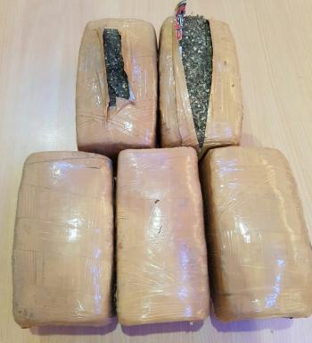 Ditemukan 5 kg ganja di tong sampah Harapan Raya