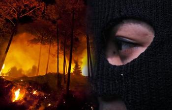 Hingga Kini Polda Tetapkan 75 Tersangka Pembakar Hutan di Riau