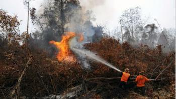 Lahan PT SSL di Rohul terbakar, aparat kewalahan