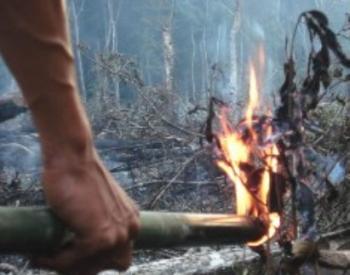 Cegah pembakaran lahan, Polda Riau sebar 250 ribu Maklumat
