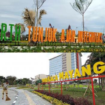 Kota Pekanbaru minim dengan RTH, DPRD: Perlu dibangun setiap Kecamatan