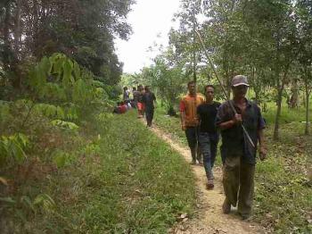 Selama 2 hari, BKSDA Riau gagal tangkap beruang di Rohul