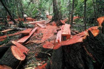 Eks Rektor UNRI Muchtar Achmad bungkam soal dugaan menggarap hutan di Kuansing