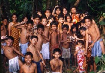 Hutan dibabat perusahaan, suku Anak Dalam jadi pengemis di Riau
