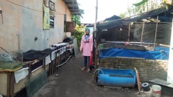 UMKM Tambak Ikan Lele di Panam Pekanbaru Tak Pernah Dapat Bantuan Pemerintah