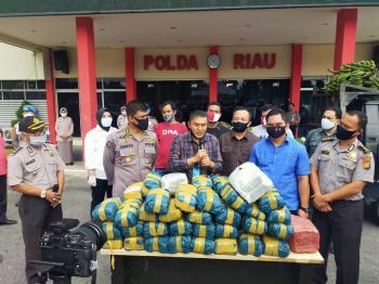 Polda Riau Gagalkan Penyelundupan 100 Kg Ganja ke Malaysia