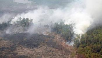 Berjuang 10 tahun, masyarakat 7 desa di meranti akhirnya rebut lahan 10.390 Ha dari PT LUM