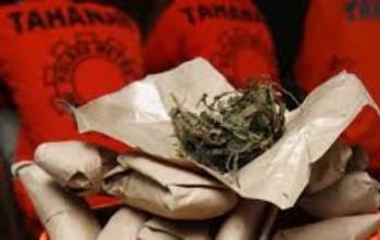 Simpan 8 Kg Ganja, Remaja Asal Aceh diciduk polisi Dumai
