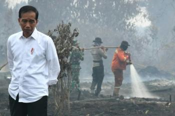 Karhutla, Jokowi: Cegah sejak Dini dan Tindak Tegas!