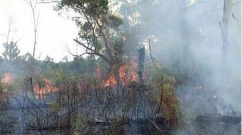 Areal PT Chevron Terbakar 5 Hektare