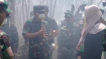 Kebakaran Hutan dan Lahan Riau Tembus 1.136 ha