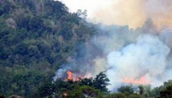 Walau Hujan, Riau Rawan Hot Spot