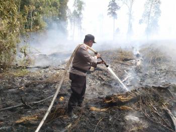 Polda Riau Jerat 12 Orang Jadi Tersangka Karhutla