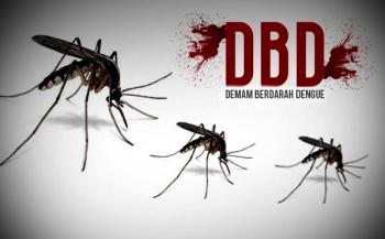 600an warga Bengkalis derita DBD, 4 orang anak meninggal dunia
