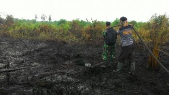 4 Unit Pesawat dan Heli Lakukan Water Bombing di 20 Hektar Lahan PT SR yang Terbakar