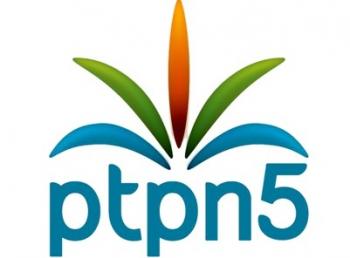 PTPN V Bantah Seluruh Tudingan Aliansi Masyarakat Pejuang Sinamanenek
