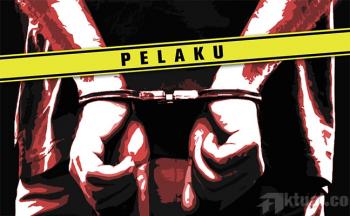 Bawa kayu hasil ilegal logging, 2 Supir di Riau ditangkap