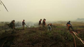 2,445 ha lahan di Riau terbakar, Meranti terparah, Polisi tahan 6 orang