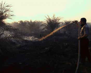 Riau semakin membara, 30 hektare lahan terbakar di Indragiri Hilir