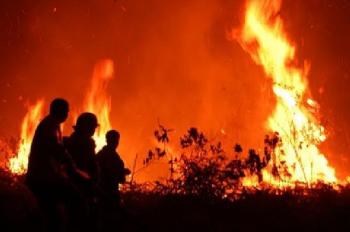 Ini "Jurus" BNPB atasi Kebakaran Lahan di Riau