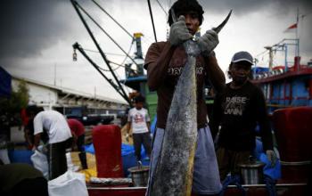 Pemda Rohil turunkan tim terpadu incar pencuri ikan