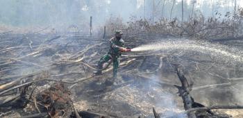 Pendinginan Titik Api di Pelalawan Memasuki Hari ke Delapan