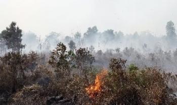 18 Tahun Asap di Riau, Negara Harus Tangung Jawab!!!