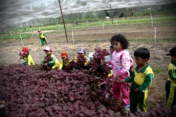 Guru & Murid TK kagum! Selain Pesawat Tempur, ada Hutan Wisata di Lanud Pekanbaru
