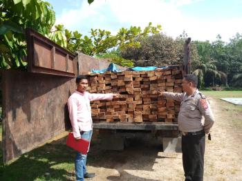 Truk Bermuatan Kayu Ilegal Ditangkap Di Pelalawan
