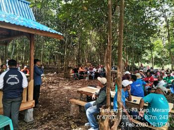 Merawat Semangat Budidaya Lebah Tak Bersengat
