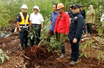 Buka kanal di lahan Gambut, PT Sekato Pratama Makmur dapat sanksi dari KLHK