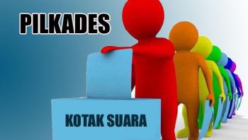 KNPI Rohil bakal siagakan Satgas di setiap Pilkades