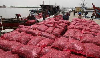 Dikejar dari Dumai, kapal pembawa 14 ton bawang merah ilegal nyerah di Bengkalis