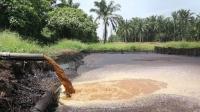 YLBHR gugat Izin lingkungan PKS PT Risman Scham Palm di Inhil