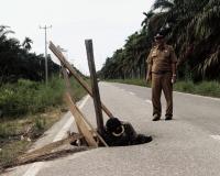 Jelang lebaran, jalan di Inhil masih berlobang, rusak, dan dalam perbaikan