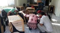 Provinsi Riau rawan penyelundupan satwa dilindungi