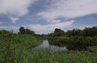 Pemkab Rohil Jadikan "Danau Janda Gatal" Objek Wisata Andalan