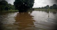 Sedihnya! Warga Pelalawan tak bisa lagi piknik di Danau Tadjuit