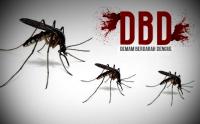 Waspada! DBD meningkat tajam, Bupati Bengkalis keluarkan 5 Instruksi