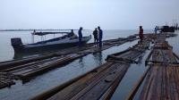 Polda Riau Sita 50 Ton Kayu Hutan di Kepulauan Meranti