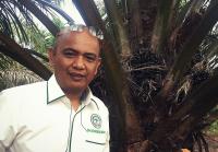 Besok, Apkasindo Riau Goes to Campus akan ungkap Mitos Kelapa Sawit