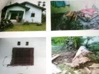 Sebuah RLH Bantuan Pemkab Bengkalis Rusak Parah Tertimpa Pohon Durian