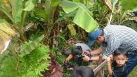 Bunga Bangkai Tumbuh dan Mekar di Pemukiman Warga Pekanbaru