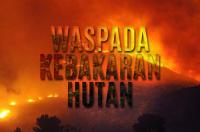 Karhutla: Perusahaan Jangan Lalai dan Abaikan Peraturan 