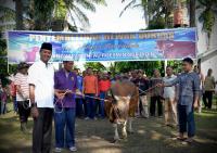 Idul Adha, TNI AU Pekanbaru berkurban18 sapi & 29 kambing