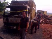 Dua Unit Colt Diesel Bermuatan TBS Sawit di Rambah, Ludes Dilalap Api