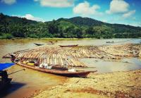 LIRA Kampar rilis Video & Foto dugaan aktivitas ilegal logging