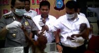 Diburu, Raja & Sultan sakit lalu mati, peluru masih bersarang ditubuh dara
