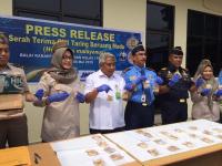 Petugas Karantina Sita 172 Taring Beruang Madu