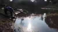 Tercemar Limbah PT Torganda, Air Sungai Sitalas Menghitam